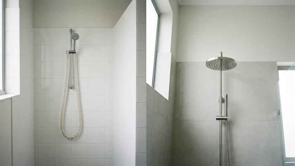 Sen Cây Hay Sen Thường? So Sánh Chi Tiết & Tư Vấn Chọn Đúng Cho Phòng Tắm Của Bạn